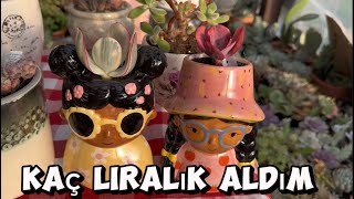 INSTAGRAM CANLI YAYINLARINDAN KAÇ LİRALIK ÇİÇEK ALMIŞIM succulents flowers garden [upl. by Paco200]