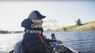 How to Fish Damselfly Fly Fishing Strategies  GoFishBC [upl. by Mazel]