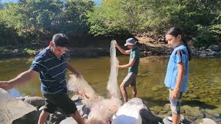 Rambito así captura Chimbolos de río con trasmallo 🦀💪🏼y que bien tira la atarraya milita 🦀 [upl. by Lunseth]