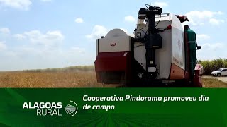 Cooperativa Pindorama promoveu dia de campo [upl. by Arriec867]