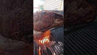 Ribeye Steak ribsteak grill funny [upl. by Hennessey104]