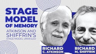 Atkinson and Shiffrins Stage model of Memory [upl. by Eiramanna]