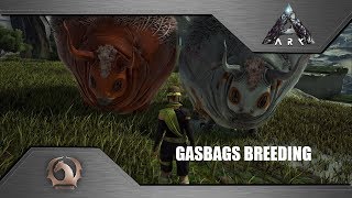 Ark Survival Evolved  Breeding Gasbags [upl. by Nazar]