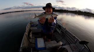 WHITING FISHING THE PASSAGE 2ND OCTOBER 2023 [upl. by Eerbua481]