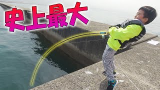 史上最大のパニック【堤防の巨大魚】 [upl. by Larina]