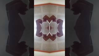 Kaleidoscope EffectFingerdance  Handdance  No Endorse ☺️ deadpaul littledoyouknow fingerstyle [upl. by Mayram440]