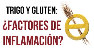 🥖 Alimentos Controvertidos que CAUSAN INFLAMACIÓN🚨Trigo y Gluten  Lucía Redondo [upl. by Lucais]