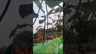 Happy chhath puja kritivlog viralshort viralvideo [upl. by Aissac]