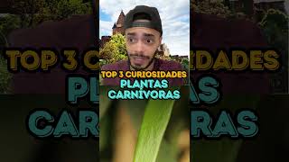 PLANTAS CARNÍVORAS TOP 3 CURIOSIDADES [upl. by Eilarol]