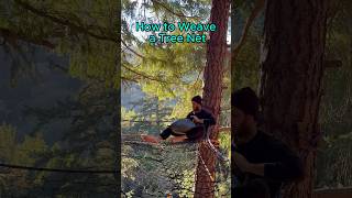 How to Weave a Tree Net [upl. by Rew711]