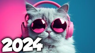 AS MELHORES MÚSICAS ELETRÔNICAS DE 2024 ⚡️ AS MAIS TOCADAS ⚡️ ALOK DAVID GUETTA MIX [upl. by Sices199]