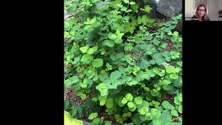 Proud Berry Coralberry [upl. by Andrew]