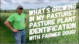 Whats growing in my pasture Pasture plant identification with Farmer Doug [upl. by Noraa]