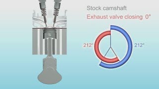 Engine camshaft animation 5007000 rpm at the end [upl. by Ataynek]