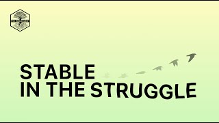 The Ineloquent  Stable in the Struggle Official Lyric Video [upl. by Solohcin]