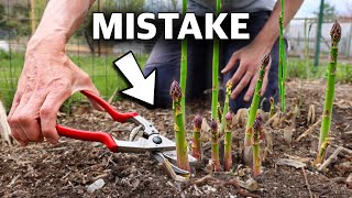 You’re Killing Your Asparagus if You Do This 5 MISTAKES You Can’t Afford to Make Growing Asparagus [upl. by Eniarral]