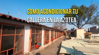 Instalaciones para galleras en la azotea ideas que te pueden ayudar para mejorar tu gallera [upl. by Florina]