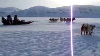 Greenland Dogs of Qaanaaq [upl. by Aihtak19]