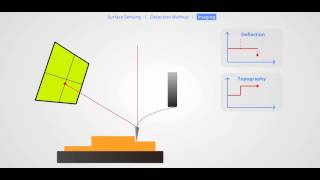 AFM Principle Basic Training [upl. by Edwin]