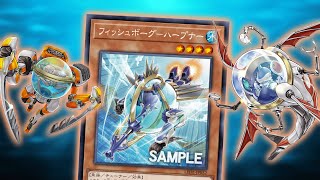 New Fishborg Harpooner Combos YuGiOh TCG [upl. by Cerracchio]