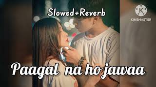 pagal na ho jawa slowed reverb song Gurnam Bhullar। G guruBaljit Singh dev slowed reverb songlofi [upl. by Nirda]