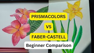 My Beginners Opinion on Prismacolor VS Faber Castell Classic Colored Pencils [upl. by Breed179]