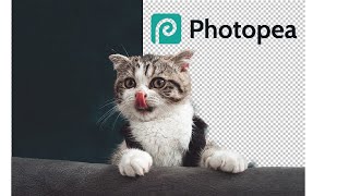 PHOTOPEA EASY Free Background Removal [upl. by Garson486]