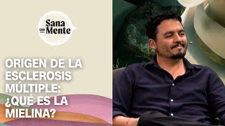 ¿Qué es la mielina y cómo puede afectar nuestro bienestar mental y físico  Sana Mente [upl. by Karney]