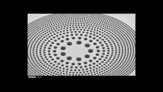 ZEISS Atlas 5 Nanofabrication of a Sieve Zone Plate [upl. by Tarrel]