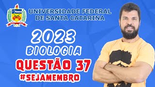 UFSC 2023  Questão 37  O arrozdourado do inglês golden rice é uma variedade geneticamente modif [upl. by Bohs]