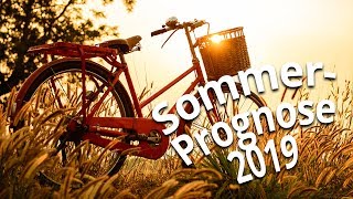 Sommerprognose 2019 mit NOAA Kommt der nächste Hitzesommer [upl. by Devon689]