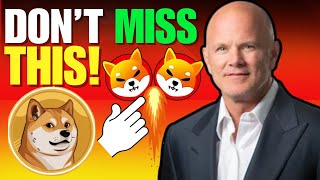 VITALIK BUTERIN GIVES THIS HUGE OPPORTUNITY TO SHIBA INU COIN GET READY  SHIBA INU COIN NEWS [upl. by Aidnis]