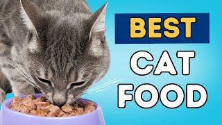 What is Best To Feed Your Cat [upl. by Seuqcaj]