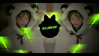 DJ DECADE OF POP  NEW TIKTOK SLOWED MEGAMIX  FULLANALOGBASSBOOSTED   DJ JER PH 2K24 [upl. by Flam]