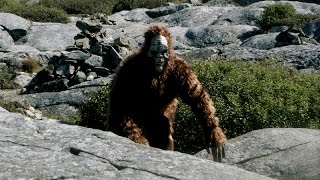 Bigfoot sightings in Chattanooga area [upl. by Elohcin]