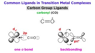 Types of Bonding in Transition Metal Systems and Simple Ligands [upl. by Hulen]