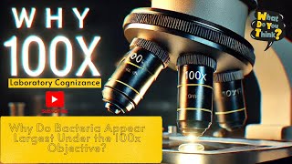 Why Do Bacteria Appear Largest Under the 100x Objective  Microscope Tips for Lab Beginners [upl. by Pyle]