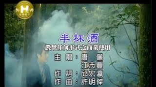 唐儷VS江志豐半杯酒官方KTV版 [upl. by Noelopan]