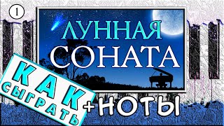 Лунная Соната На Пианино ОБУЧЕНИЕ  НОТЫ 🎹 Урок Для Начинающих [upl. by Haida381]