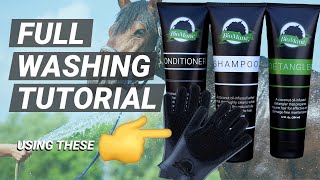 Full Horse Washing Tutorial  BioMane Grooming Series [upl. by Dulcy]