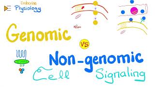 Gprotein Gq Gs Gi JAKSTAT RTK NRTK — Genomic vs NonGenomic actions — Cell Signaling [upl. by Neyrb]