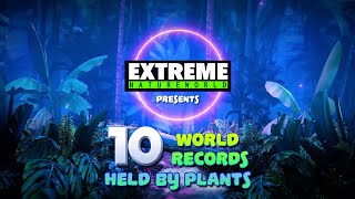 10 world records held by plants [upl. by Ark]