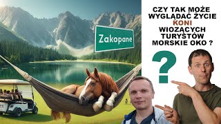 🐴Konie ma morskim oku 🚙 Czy można je zastąpić i dać im odpocząć 🙂 [upl. by Portie]