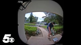 Ring camera catches porch pirate [upl. by Petrie]