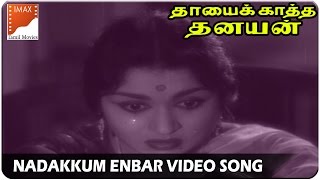 Nadakkum Enbar Video Songs  Thayai Katha Thanayan Movie  MGR B Sarojadevi  South Video Songs [upl. by Nalo]