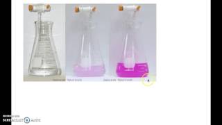 Antacid Titration Experimental Set Up [upl. by Atsylak967]