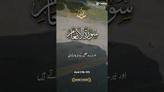 surah Al Anam heartsease quran islamicfigure vidioviral Allahholyquran likesubscribeme [upl. by Ervin626]