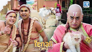 धनि मणि ने लेके आये बैल तो उसे देखे क्रोधित होगये तथाचार्य  तेनाली रामा  Tenali Rama  Ep 195 [upl. by Drus465]