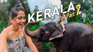 Thekkady Luxury Resort Stay  Periyar Tiger Reserve  Elephant Shower  Kerala Tourism Part 7 [upl. by Ettennod913]