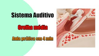 Estruturas da orelha média ouvido médio 4K  Anatomia Humana  Anatomia [upl. by Tnomal]